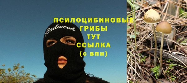 мдпв Балабаново