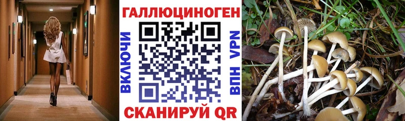 Псилоцибиновые грибы мухоморы  купить наркотик  hydra вход  Котельниково 